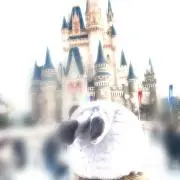 あい‪‪ꪔ̤̥の画像