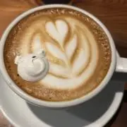 トメルの画像