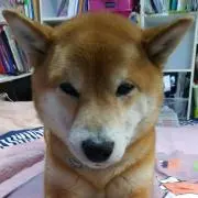 くうの画像