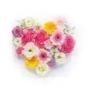 hana♡ᵕ̈*プロフ必読♡即購入OK！の画像