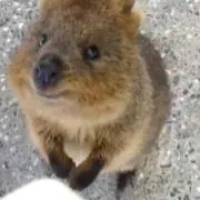 Eeeの画像