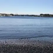 とまと