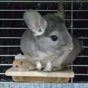 くれこの★プロフ必読・値下げ交渉不可★の画像
