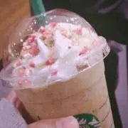 ミント