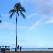 キコキコの画像