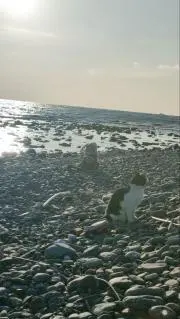 HOSHIの画像