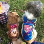ゆぶき