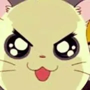 はの画像