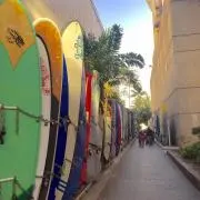 カットバック  【24時間以内発送】の画像