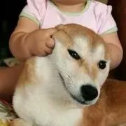 ぼ