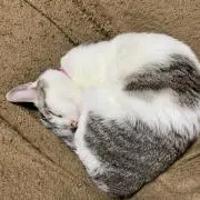 みなみ