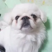 ✩⃛ೄどらちゃん✩⃛ೄ
