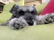 えみの画像