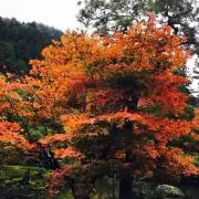M.Kの画像