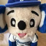 いちごの画像
