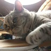 かず