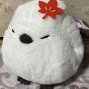 むぅみんの画像