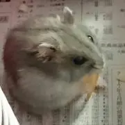あいちゃん♪