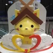 ココの画像