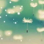 RINKOの画像