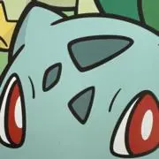 ぽんちょの画像