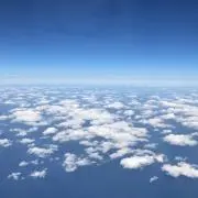 SUN SUNの画像
