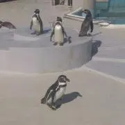 ジェイエムの画像