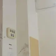 りんごの画像
