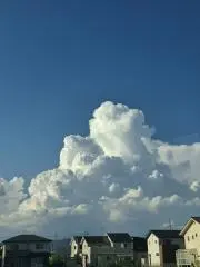ハヌル