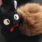 にこねこの画像