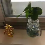 こうちゃん（プロフ必ず確認）の画像