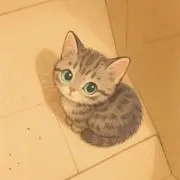 愛菜