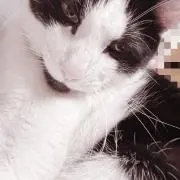 ななな@の画像
