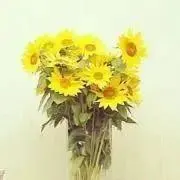 木茉の画像