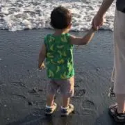 横綱の画像