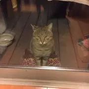 ゆずビタ