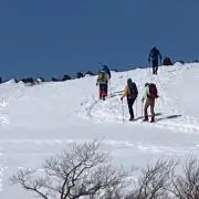 smalldogの画像