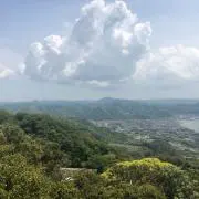 ケンゴの画像