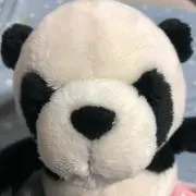 レガシーの画像