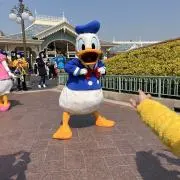 mitan⸌⍤⃝⸍の画像
