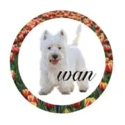Wanの画像