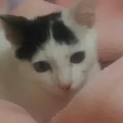 みどり