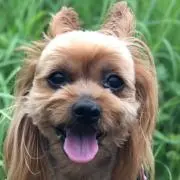 ちみ✱プロフ必読✱断捨離中の画像