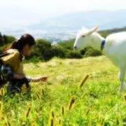 ちょこ