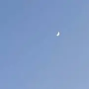 ユユユの画像