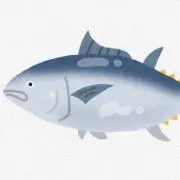 まぐろ　プロフ確認お願いしますの画像