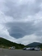 みーたんの画像