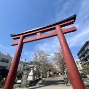 あれむ［即購入可能］の画像