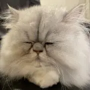 おきんちゃんの画像
