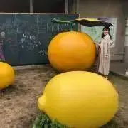 ゆか♡即日発送対応♡の画像